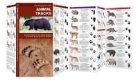 animal tracks laminated guide