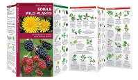 Edible Wild Plants laminate guide